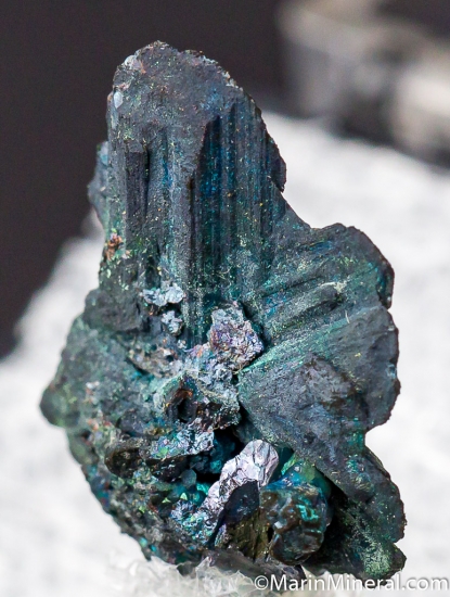 Digenite from Steward Mine, Butte, Silver Bow Co., Montana, USA [db_pics/pics/D465b.jpg]