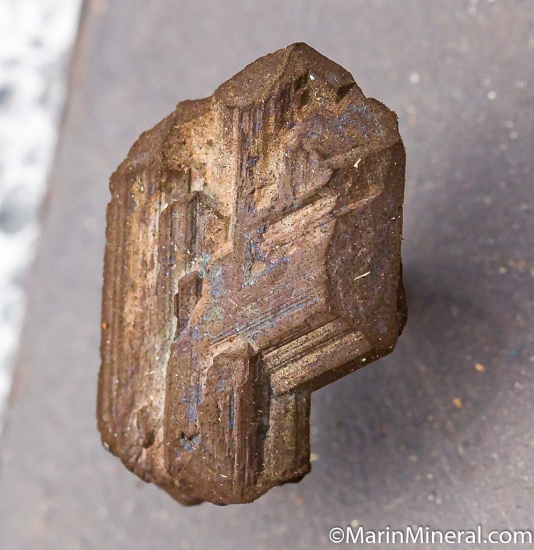 Chalcocite from Bristol Copper Mine, Bristol, Hartford Co., Connecticut, USA [db_pics/pics/D468b.jpg]
