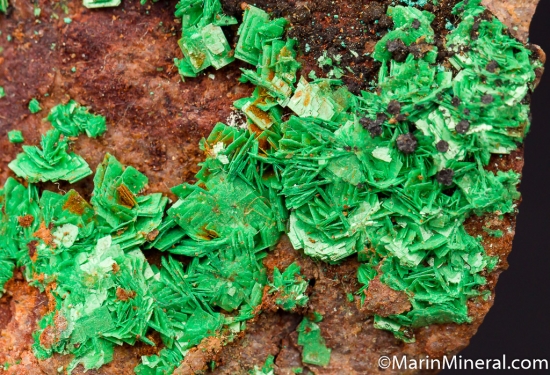 Torbernite from Unknown [db_pics/pics/D489c.jpg]