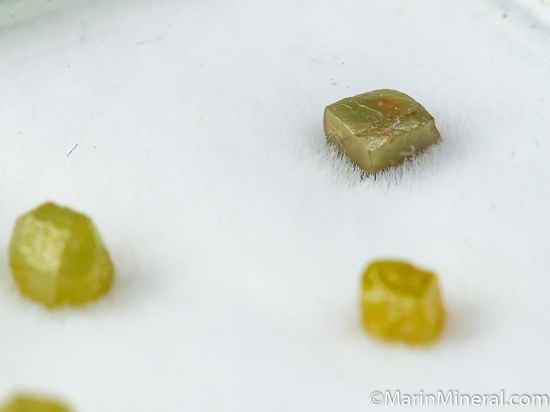 Diamonds from Congo [db_pics/pics/D491c.jpg]