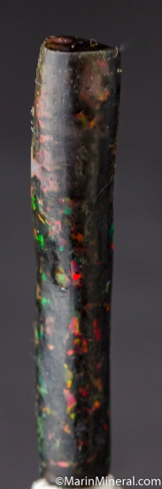 Opal after Bamboo from Banten, Java, Indonesia [db_pics/pics/D515a.jpg]