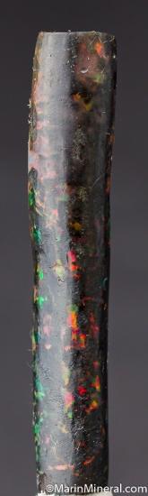 Opal after Bamboo from Banten, Java, Indonesia [db_pics/pics/D515b.jpg]