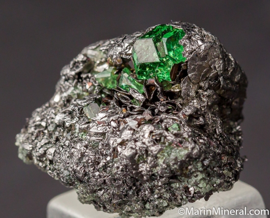 Tsavorite on Graphite from Merelani Hills, Arusha, Tanzania [db_pics/pics/D547b.jpg]