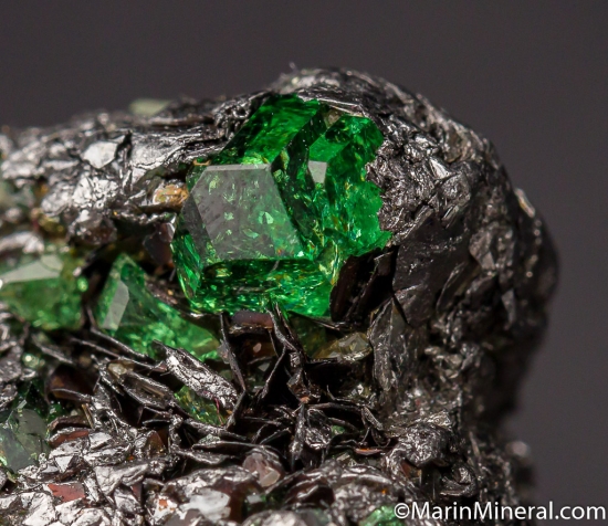 Tsavorite on Graphite from Merelani Hills, Arusha, Tanzania [db_pics/pics/D547c.jpg]