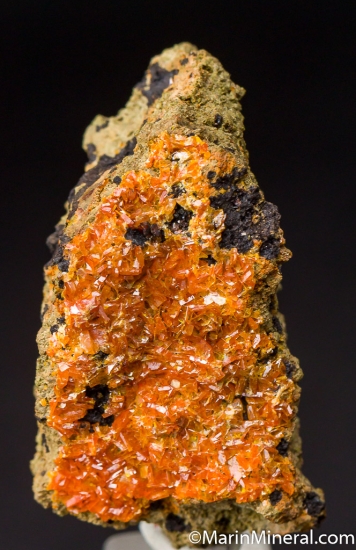 Stolzite from Kara Mines, Hampshire District, Tasmania, Australia [db_pics/pics/D596a.jpg]
