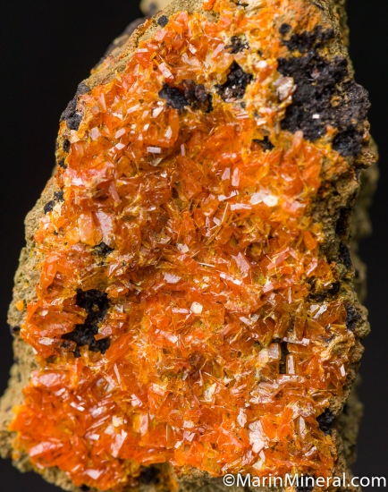 Stolzite from Kara Mines, Hampshire District, Tasmania, Australia [db_pics/pics/D596c.jpg]
