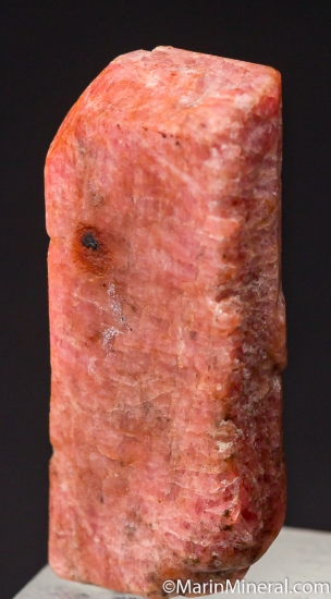 Rhodonite from Franklin Mine, Sussex Co., New Jersey, USA [db_pics/pics/D599b.jpg]