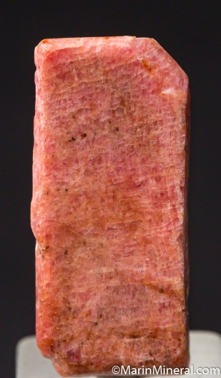 Rhodonite from Franklin Mine, Sussex Co., New Jersey, USA [db_pics/pics/D599c.jpg]