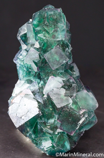 Fluorite from Okorusu Mine, Otjiwarongo, Namibia [db_pics/pics/D643c.jpg]