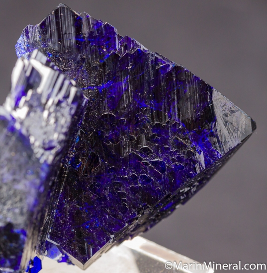Azurite from Milpillas Miine, Cuitaca, Sonora, Mexico [db_pics/pics/D644e.jpg]