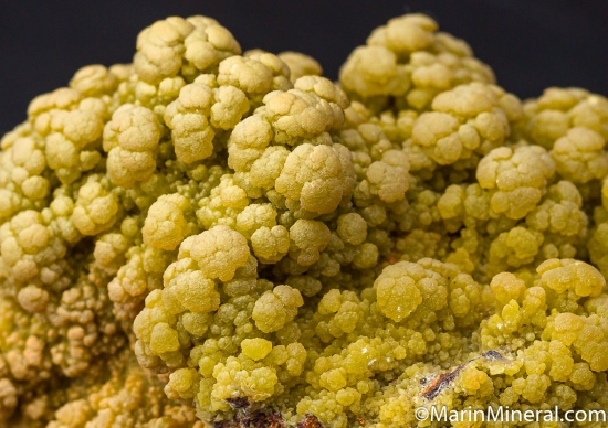 Mimetite from Ojuela Mine, Mapimi, Durango, Mexico [db_pics/pics/D647c.jpg]