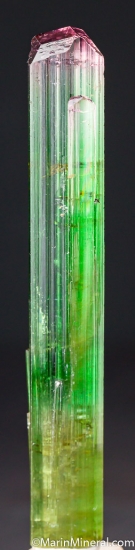 Tourmaline from Paprok, Kamdesh District, Nuristan, Afghanistan [db_pics/pics/D721a.jpg]