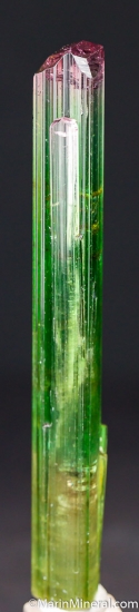 Tourmaline from Paprok, Kamdesh District, Nuristan, Afghanistan [db_pics/pics/D721b.jpg]