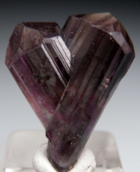 Diaspore from Milas, Mugla Prov., Turkey [db_pics/pics/DS1a.jpg]