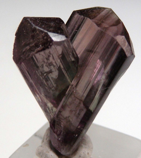 Diaspore from Milas, Mugla Prov., Turkey [db_pics/pics/DS1b.jpg]