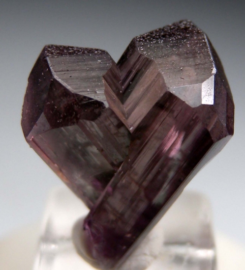 Diaspore from Milas, Mugla Prov., Turkey [db_pics/pics/DS1c.jpg]