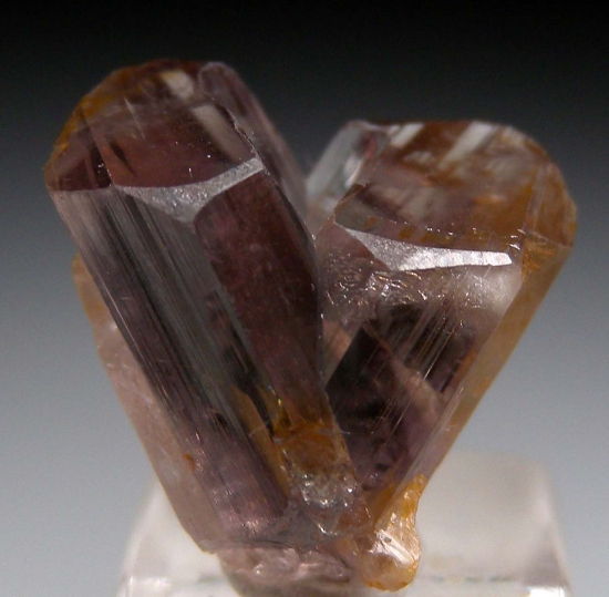 Diaspore from Milas, Mugla Prov., Turkey [db_pics/pics/DS2a.jpg]