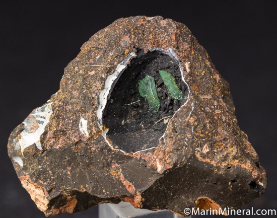 Anapaite in fossil bivalve from Kertch, Crimea, Ukraine [db_pics/pics/E524a.jpg]