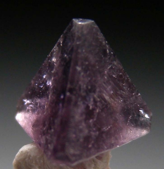 Chambersite from Venice Salt Dome, Lousiana, USA [db_pics/pics/FP102b.jpg]