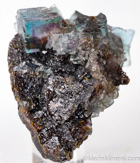 Fluorite on Sphalerite from Minerva #1 Mine, Cave-in-Rock, Hardin Co., Illinois, USA [db_pics/pics/IL102a.jpg]