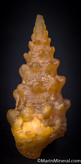 Agate after Shell from Dakhla area, Western Sahara, Morocco [db_pics/pics/J138a.jpg]