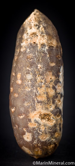 Agate after Pine Cone from Dahkla, Western Sahara, Morocco [db_pics/pics/J253b.jpg]