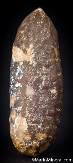 Agate after Pine Cone from Dahkla, Western Sahara, Morocco [db_pics/pics/J253c.jpg]