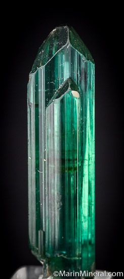 Tourmaline from Minas Gerais, Brazil [db_pics/pics/J374a.jpg]