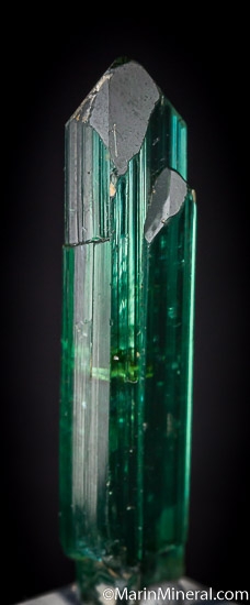 Tourmaline from Minas Gerais, Brazil [db_pics/pics/J374b.jpg]