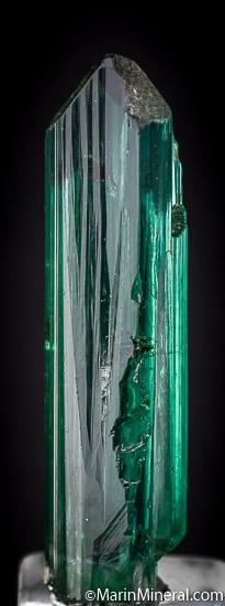 Tourmaline from Minas Gerais, Brazil [db_pics/pics/J374c.jpg]