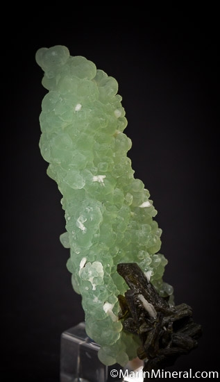 Prehnite with Epidote from Commune Diakon, Kayes Region, Mali [db_pics/pics/J401c.jpg]