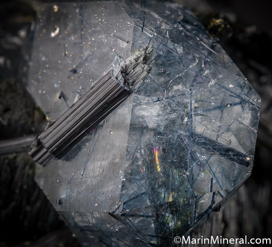 Tourmaline, Quartz from Minas Gerais, Brazil [db_pics/pics/J422h.jpg]