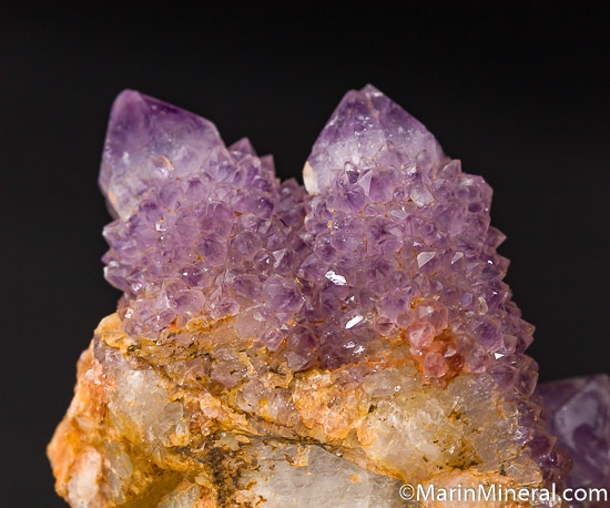 Quartz variety Amethyst from Guateng, Pretoria District, South Africa [db_pics/pics/J430c.jpg]