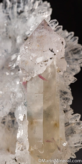 Quartz with Tourmaline from Diamantina, Minas Gerais, Brazil [db_pics/pics/J441c.jpg]