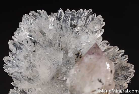 Quartz with Tourmaline from Diamantina, Minas Gerais, Brazil [db_pics/pics/J441d.jpg]