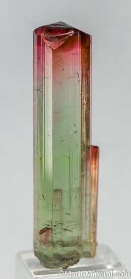 Tourmaline from Minas Gerais, Brazil [db_pics/pics/J521a.jpg]
