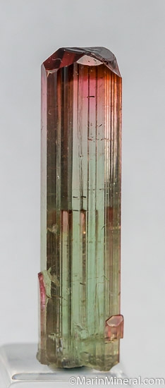 Tourmaline from Minas Gerais, Brazil [db_pics/pics/J521b.jpg]