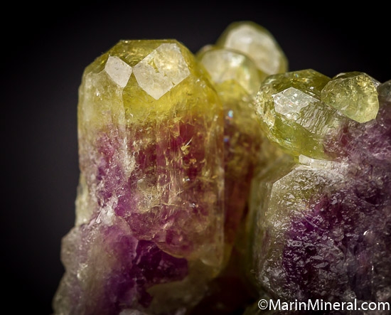 Vesuvianite from Jeffrey Mine, Asbestos, Quebec, Canada [db_pics/pics/J589d.jpg]