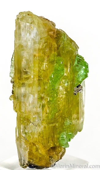 Tsavorite with Diopside from Merelani Hills, Arusha, Tanzania [db_pics/pics/J635a.jpg]