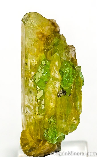Tsavorite with Diopside from Merelani Hills, Arusha, Tanzania [db_pics/pics/J635b.jpg]