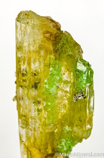 Tsavorite with Diopside from Merelani Hills, Arusha, Tanzania [db_pics/pics/J635c.jpg]