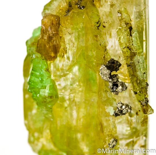 Tsavorite with Diopside from Merelani Hills, Arusha, Tanzania [db_pics/pics/J635d.jpg]