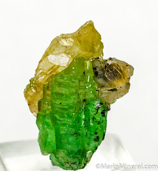 Tsavorite with Diopside from Merelani Hills, Arusha, Tanzania [db_pics/pics/J637a.jpg]
