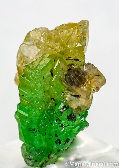 Tsavorite with Diopside from Merelani Hills, Arusha, Tanzania [db_pics/pics/J637b.jpg]