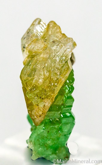 Tsavorite with Diopside from Merelani Hills, Arusha, Tanzania [db_pics/pics/J637c.jpg]