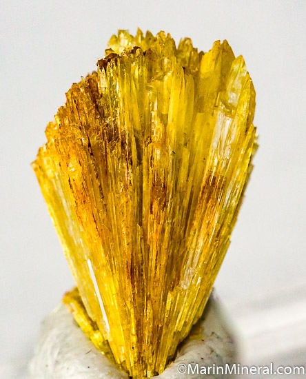 Legrandite from Mina Oujela, Mapimi, Durango, Mexico [db_pics/pics/J648a.jpg]