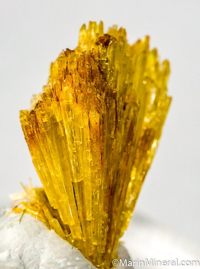 Legrandite from Mina Oujela, Mapimi, Durango, Mexico [db_pics/pics/J648b.jpg]