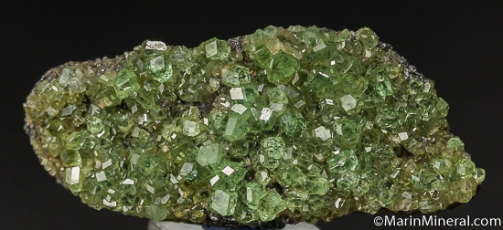 Tsavorite on Graphite from Merelani Hills, Arusha, Tanzania [db_pics/pics/J650a.jpg]