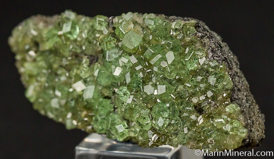 Tsavorite on Graphite from Merelani Hills, Arusha, Tanzania [db_pics/pics/J650b.jpg]