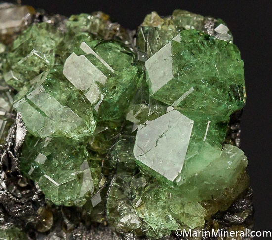 Tsavorite on Graphite from Merelani Hills, Arusha, Tanzania [db_pics/pics/J657d.jpg]